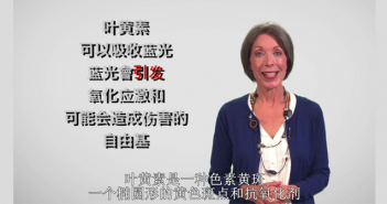 Should I Use Subtitles For My Video or Film Translation? subtitles for video or film translation