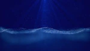 Video production background of Miami water